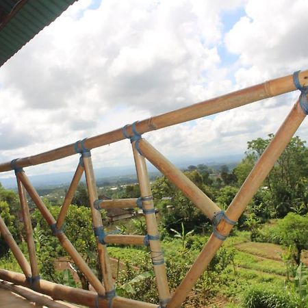 Апартаменты Bali Tree House Pelangi Бедугул Экстерьер фото