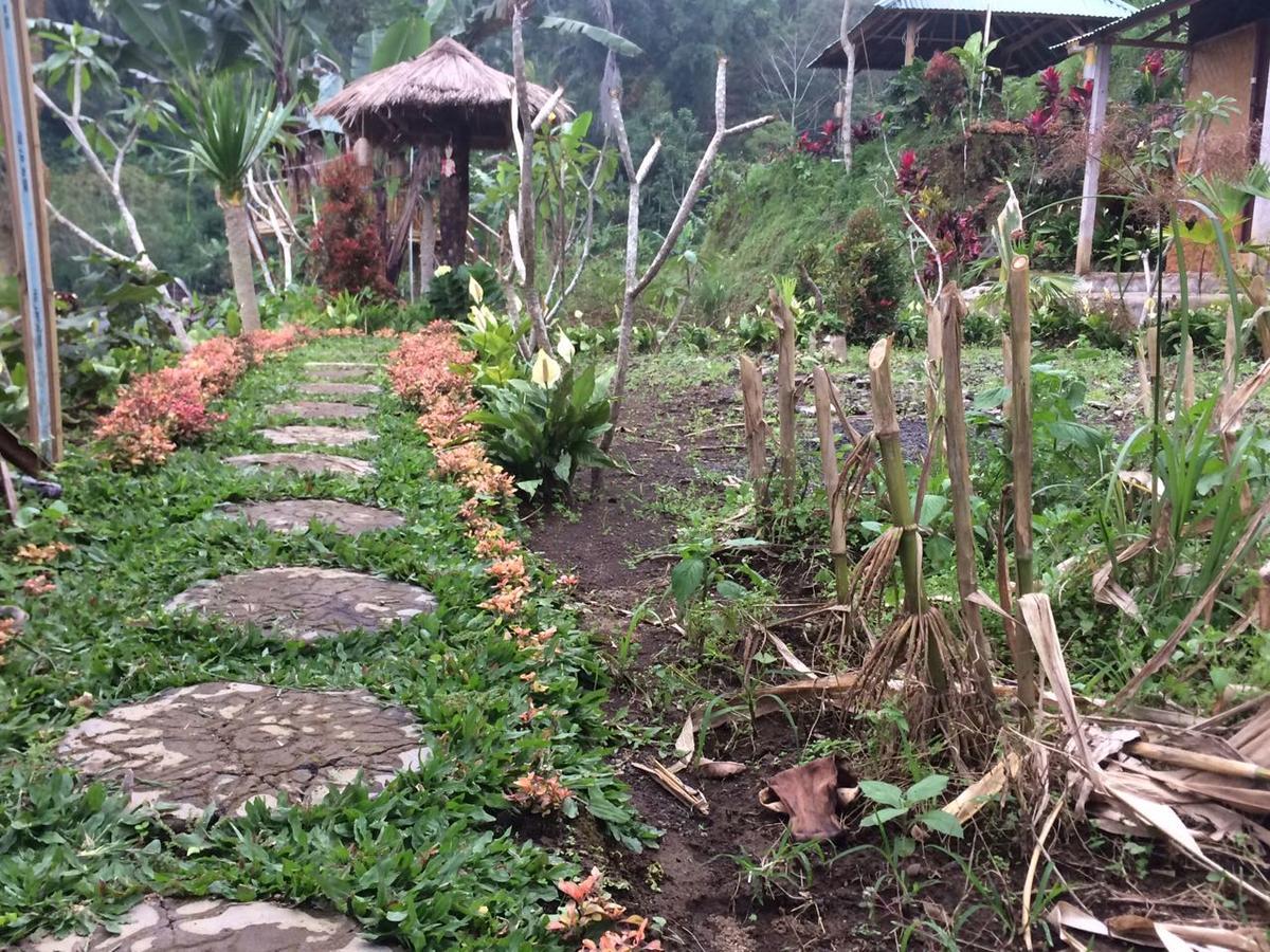 Апартаменты Bali Tree House Pelangi Бедугул Экстерьер фото