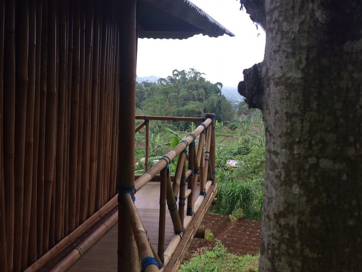 Апартаменты Bali Tree House Pelangi Бедугул Экстерьер фото