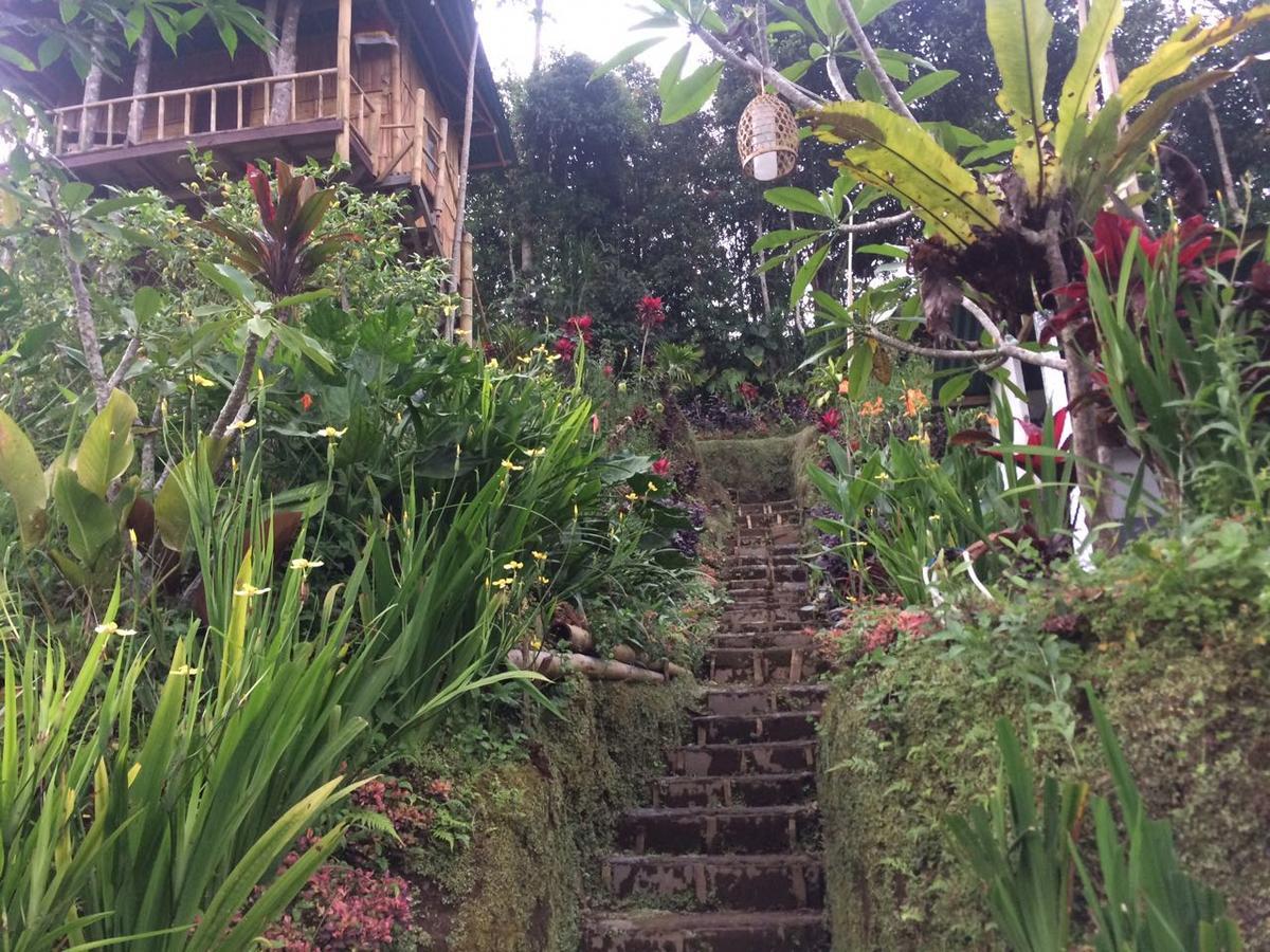 Апартаменты Bali Tree House Pelangi Бедугул Экстерьер фото