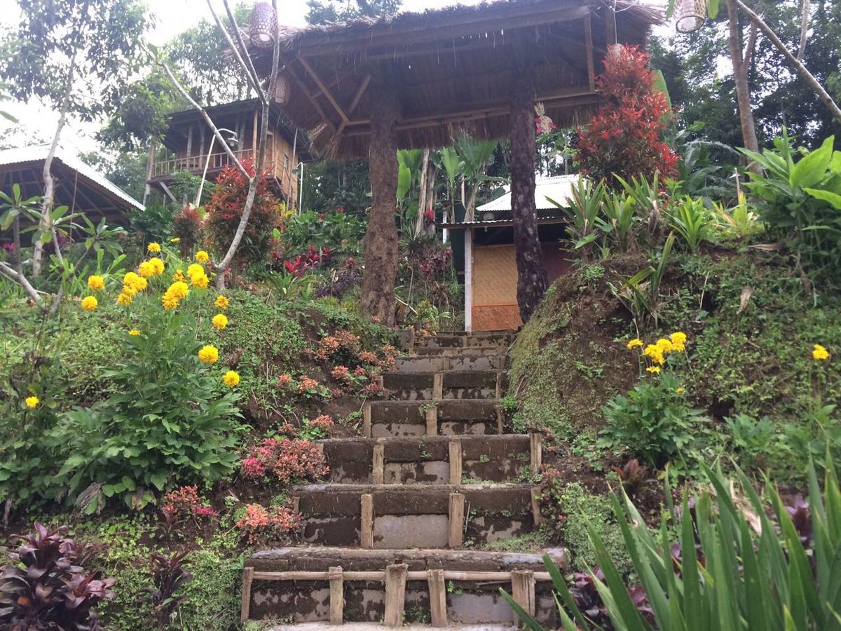 Апартаменты Bali Tree House Pelangi Бедугул Экстерьер фото