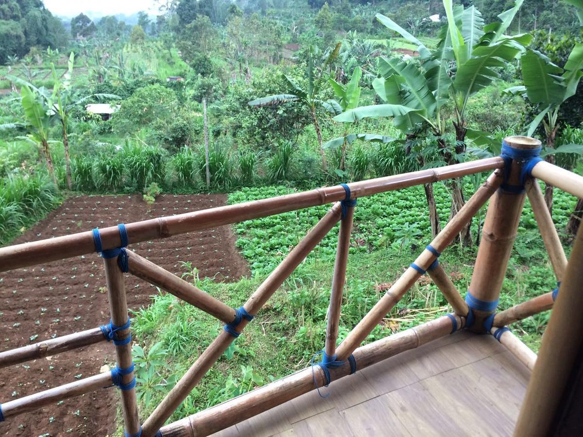Апартаменты Bali Tree House Pelangi Бедугул Экстерьер фото