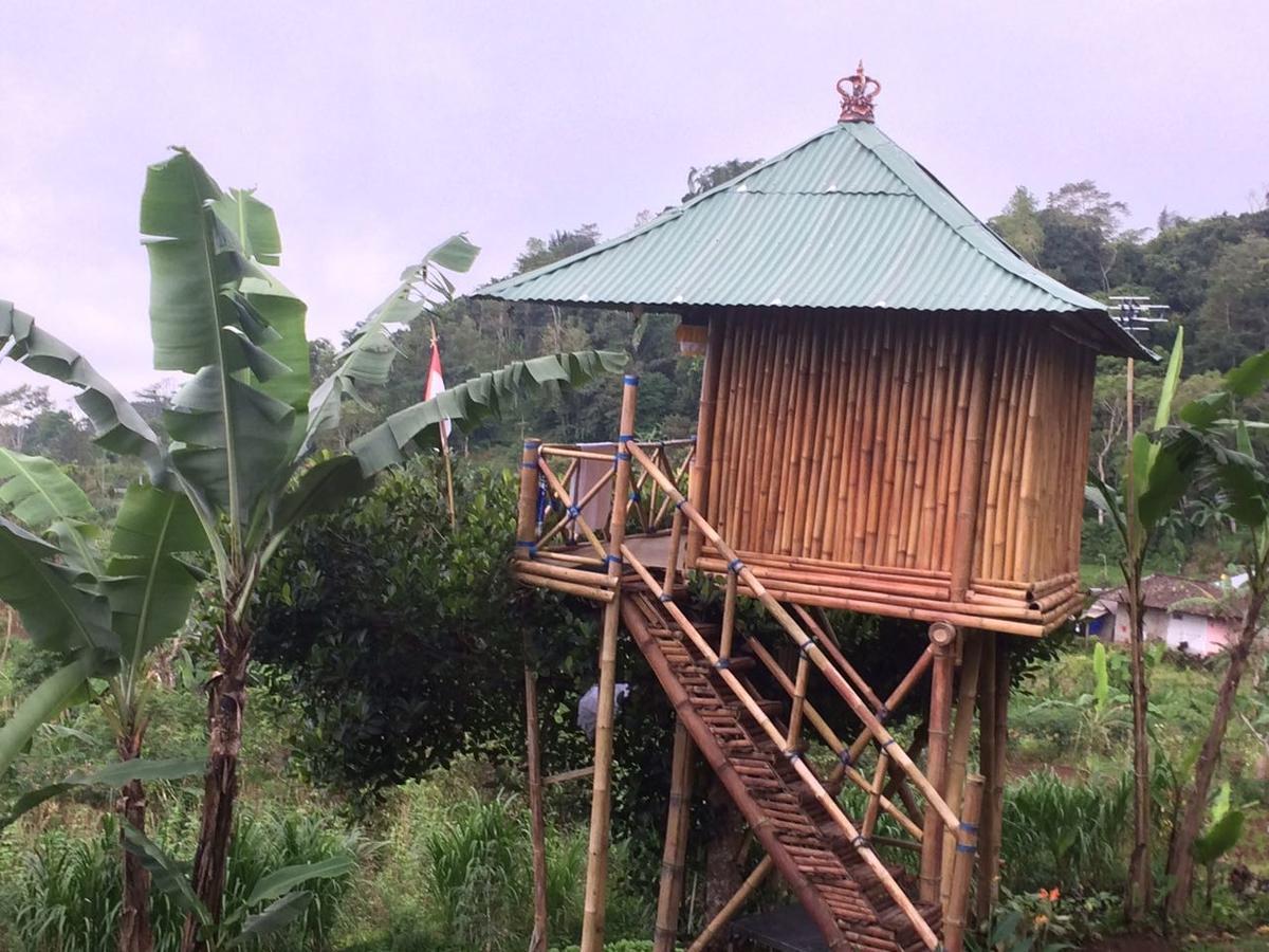 Апартаменты Bali Tree House Pelangi Бедугул Экстерьер фото