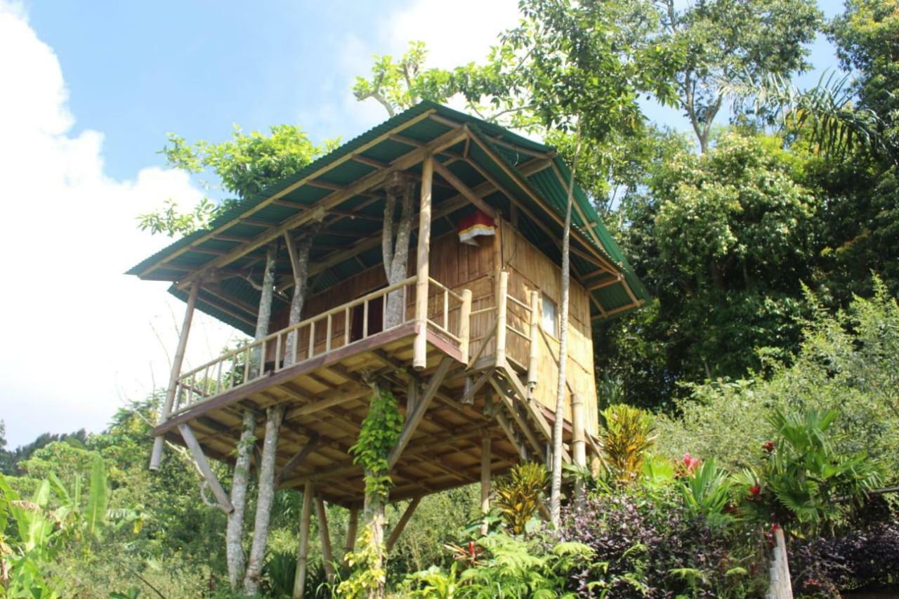 Апартаменты Bali Tree House Pelangi Бедугул Экстерьер фото