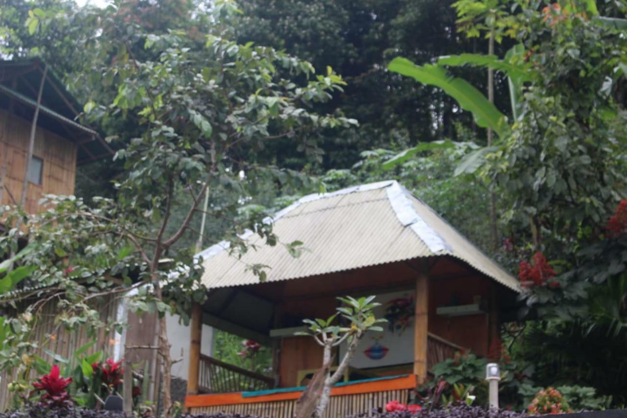 Апартаменты Bali Tree House Pelangi Бедугул Экстерьер фото