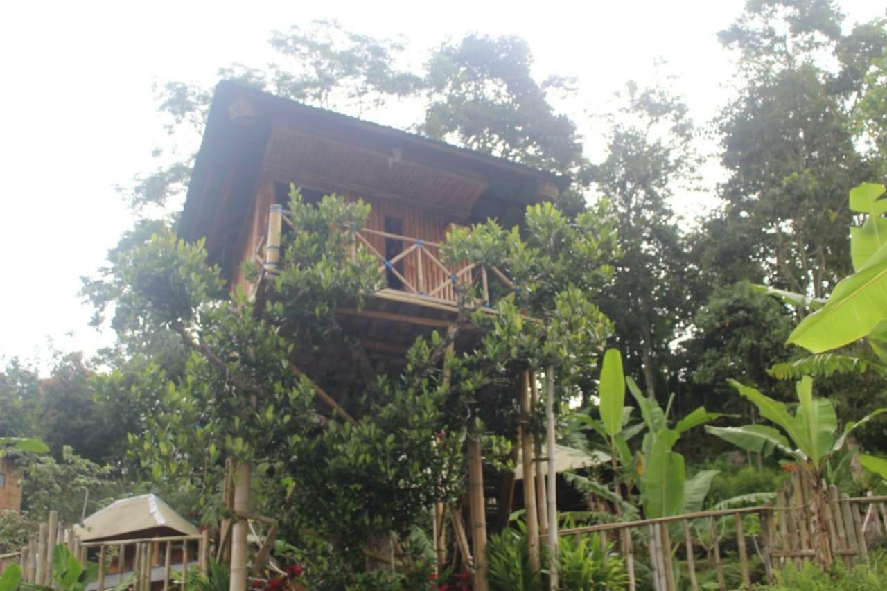 Апартаменты Bali Tree House Pelangi Бедугул Экстерьер фото