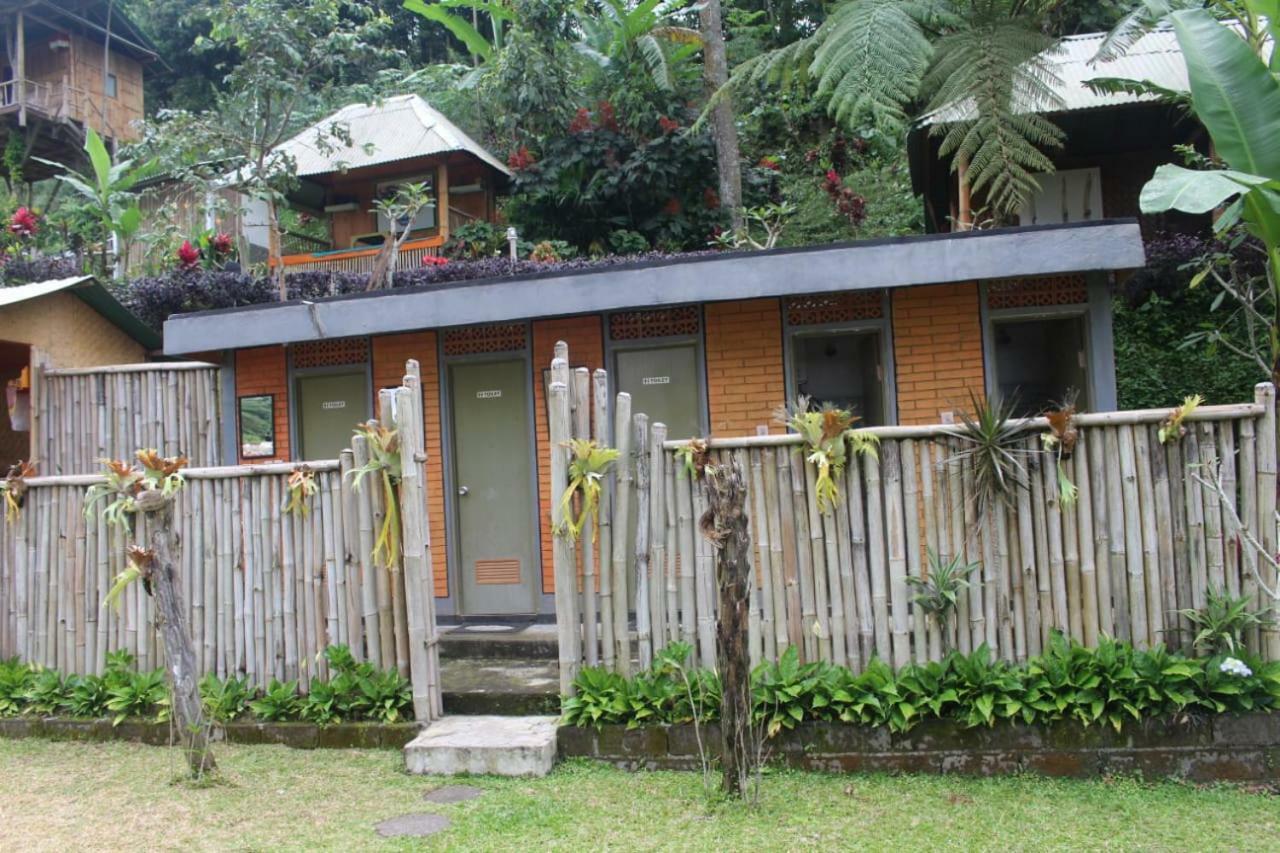 Апартаменты Bali Tree House Pelangi Бедугул Экстерьер фото