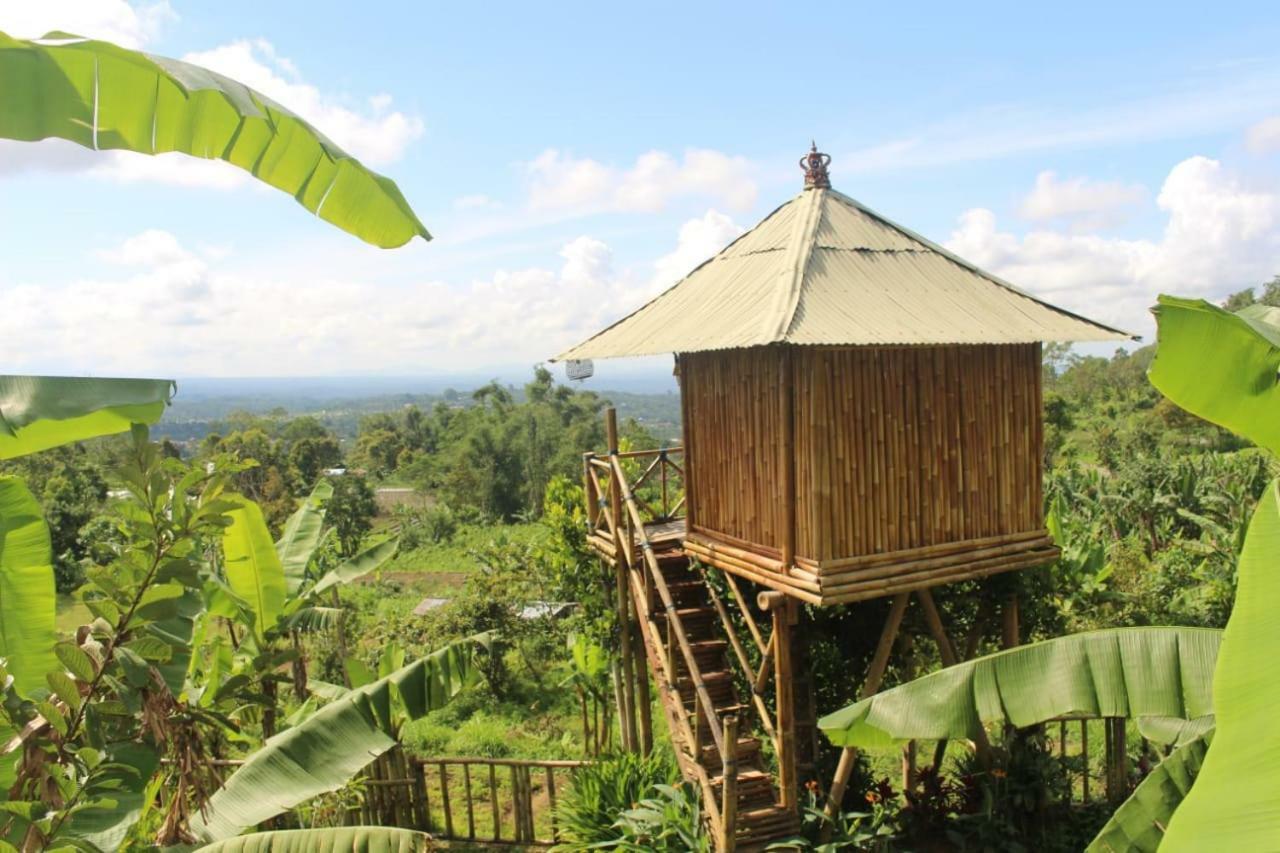 Апартаменты Bali Tree House Pelangi Бедугул Экстерьер фото