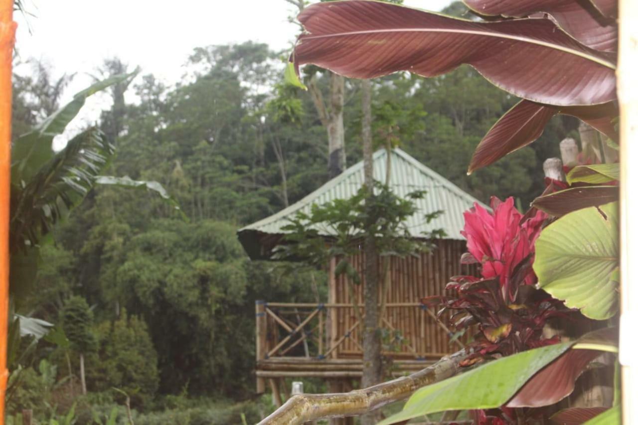 Апартаменты Bali Tree House Pelangi Бедугул Экстерьер фото
