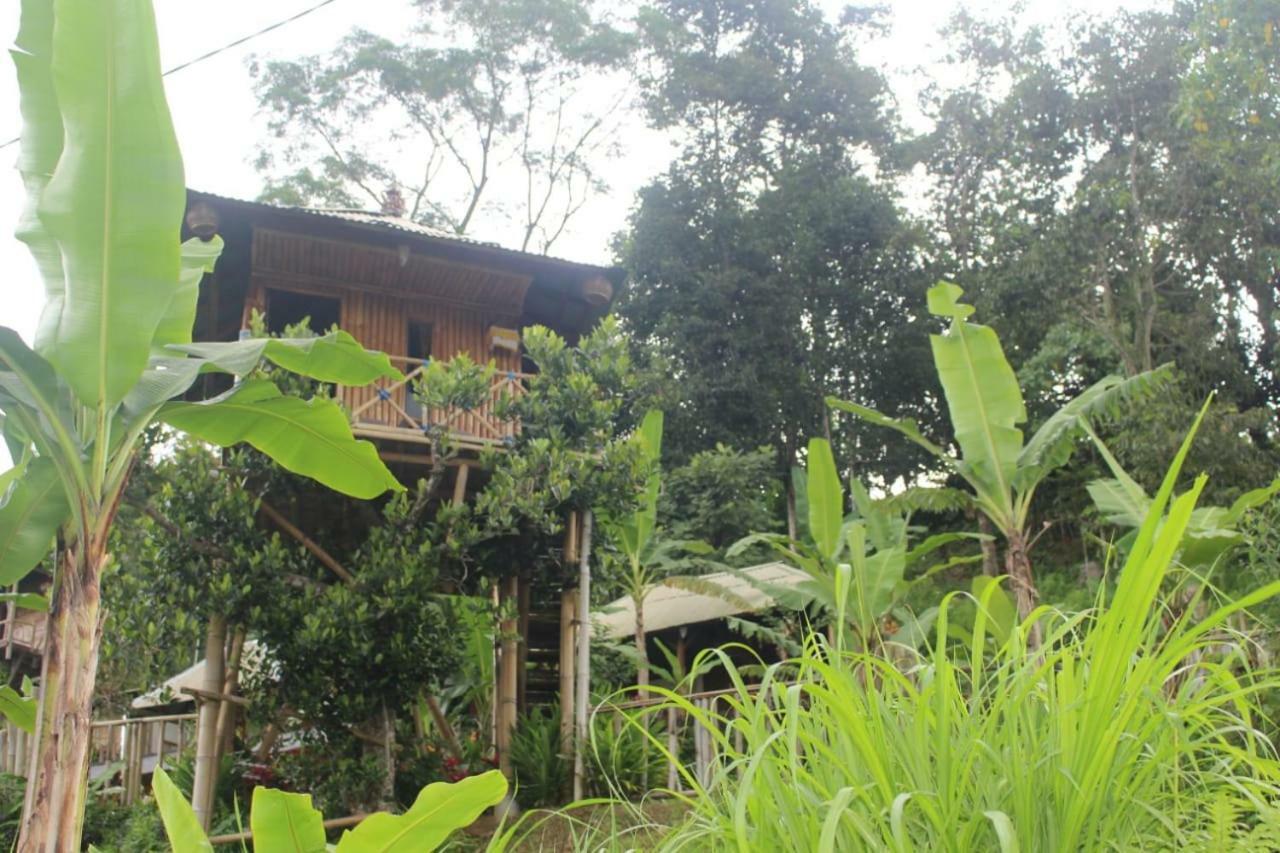 Апартаменты Bali Tree House Pelangi Бедугул Экстерьер фото