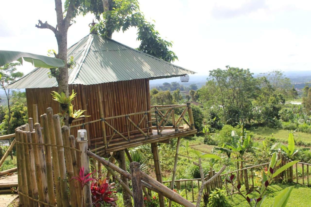 Апартаменты Bali Tree House Pelangi Бедугул Экстерьер фото