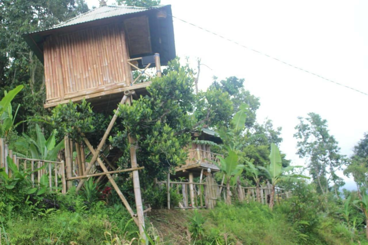 Апартаменты Bali Tree House Pelangi Бедугул Экстерьер фото