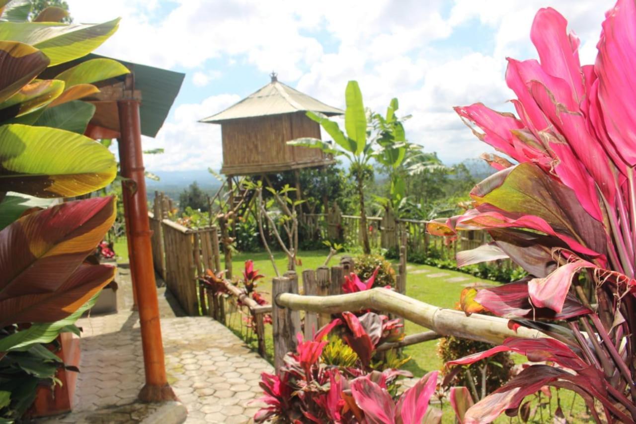 Апартаменты Bali Tree House Pelangi Бедугул Экстерьер фото