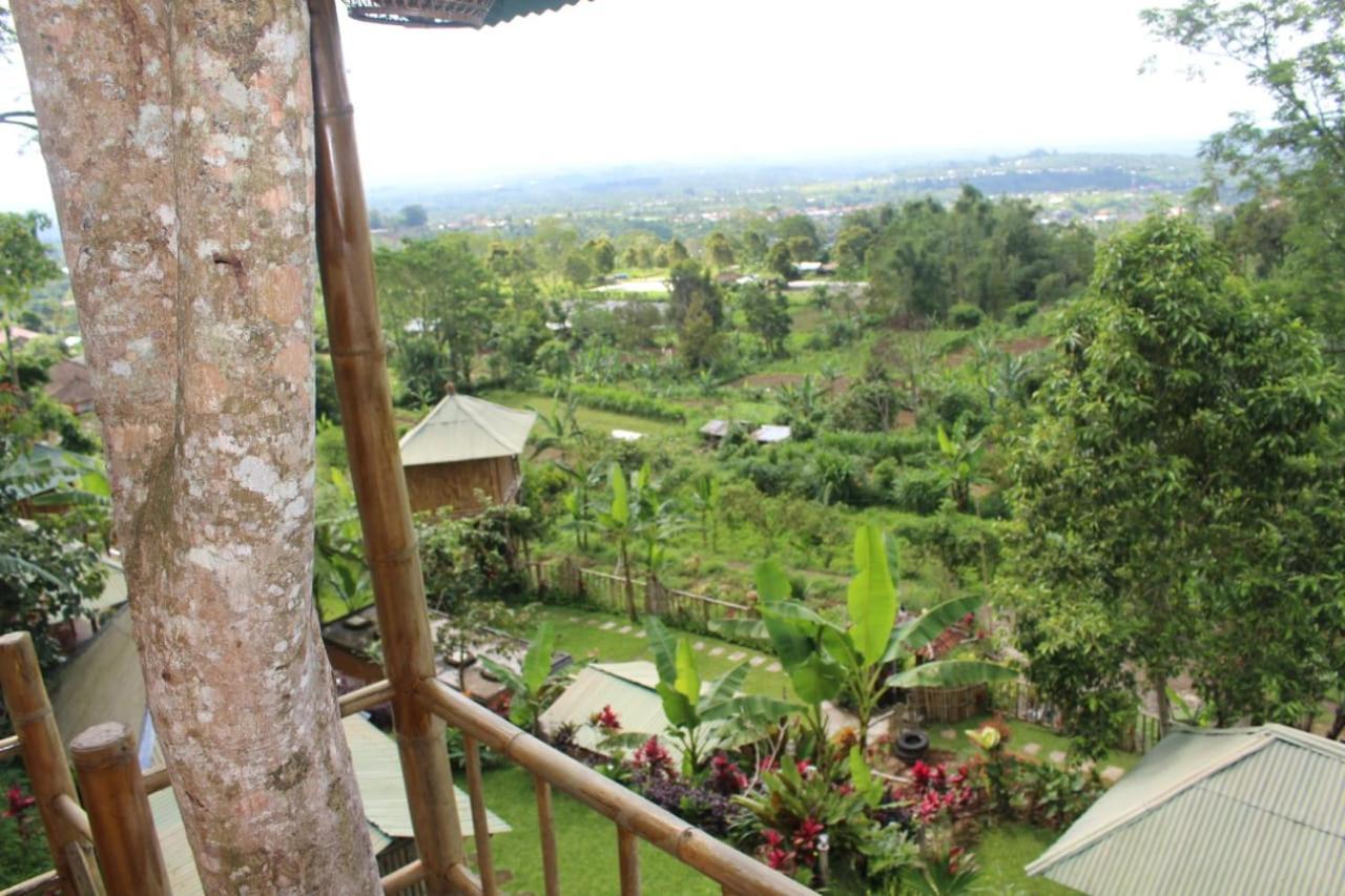 Апартаменты Bali Tree House Pelangi Бедугул Экстерьер фото