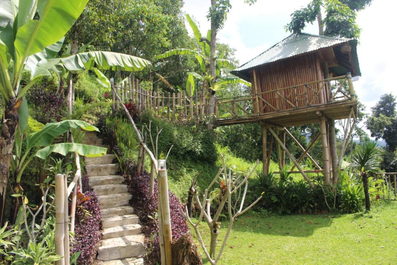 Апартаменты Bali Tree House Pelangi Бедугул Экстерьер фото