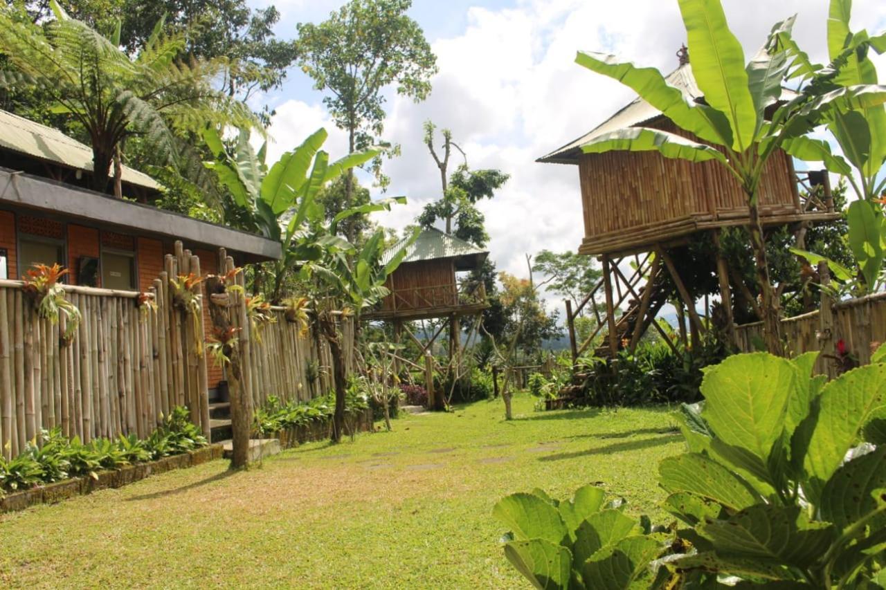 Апартаменты Bali Tree House Pelangi Бедугул Экстерьер фото