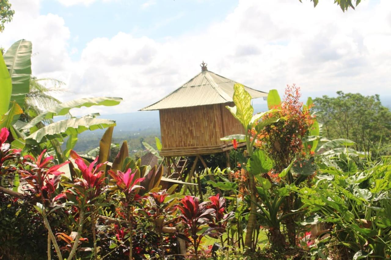 Апартаменты Bali Tree House Pelangi Бедугул Экстерьер фото