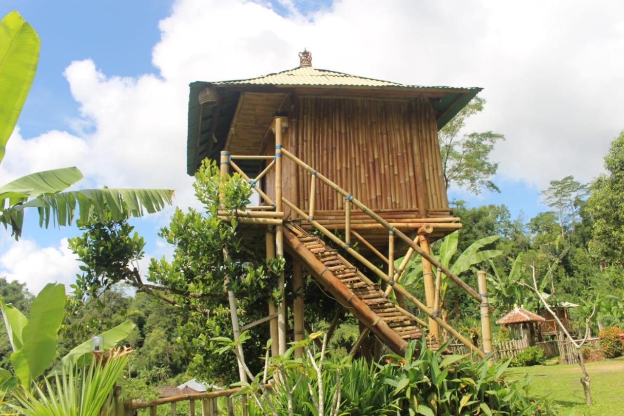 Апартаменты Bali Tree House Pelangi Бедугул Экстерьер фото