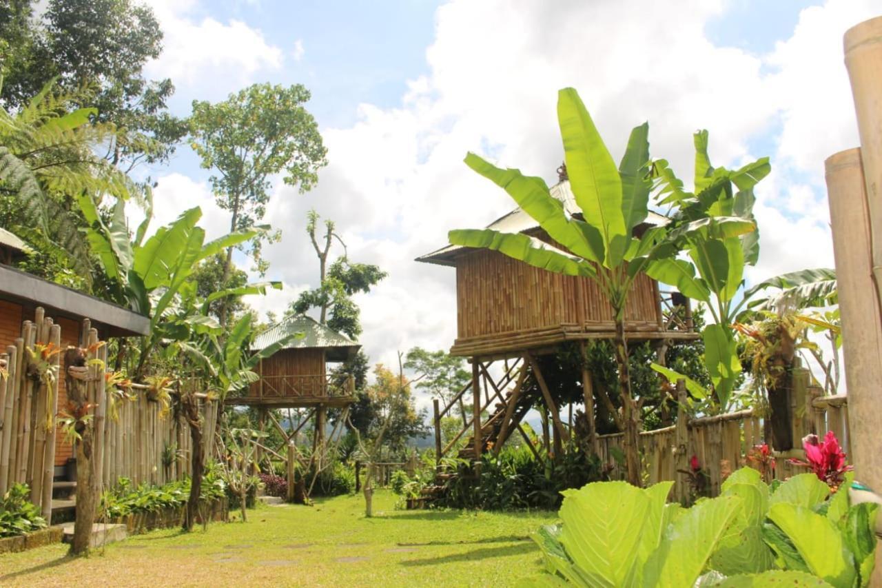 Апартаменты Bali Tree House Pelangi Бедугул Экстерьер фото