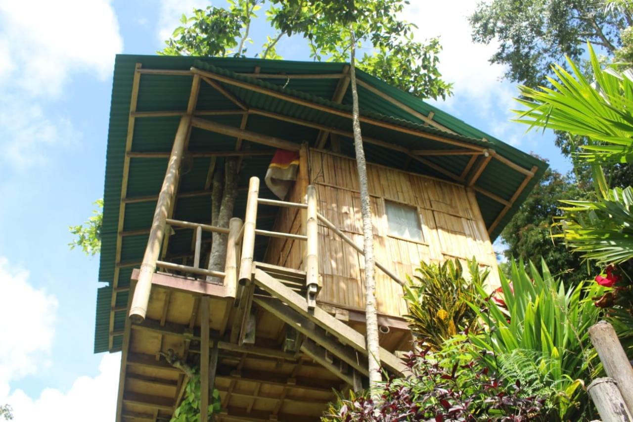Апартаменты Bali Tree House Pelangi Бедугул Экстерьер фото