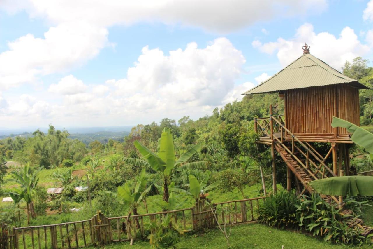Апартаменты Bali Tree House Pelangi Бедугул Экстерьер фото