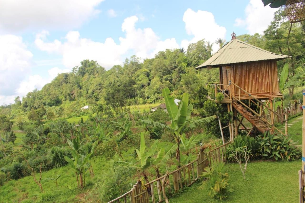 Апартаменты Bali Tree House Pelangi Бедугул Экстерьер фото