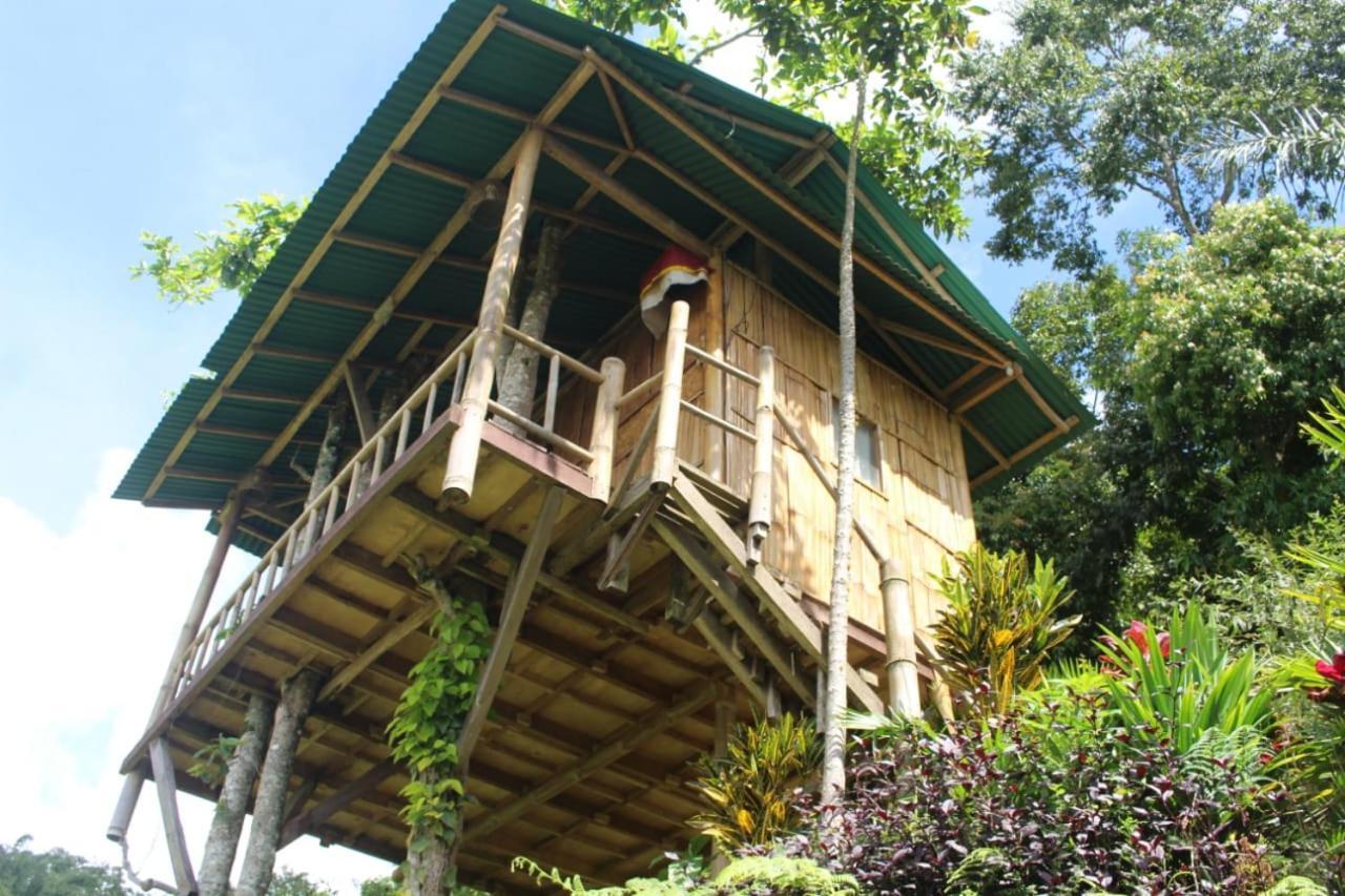 Апартаменты Bali Tree House Pelangi Бедугул Экстерьер фото