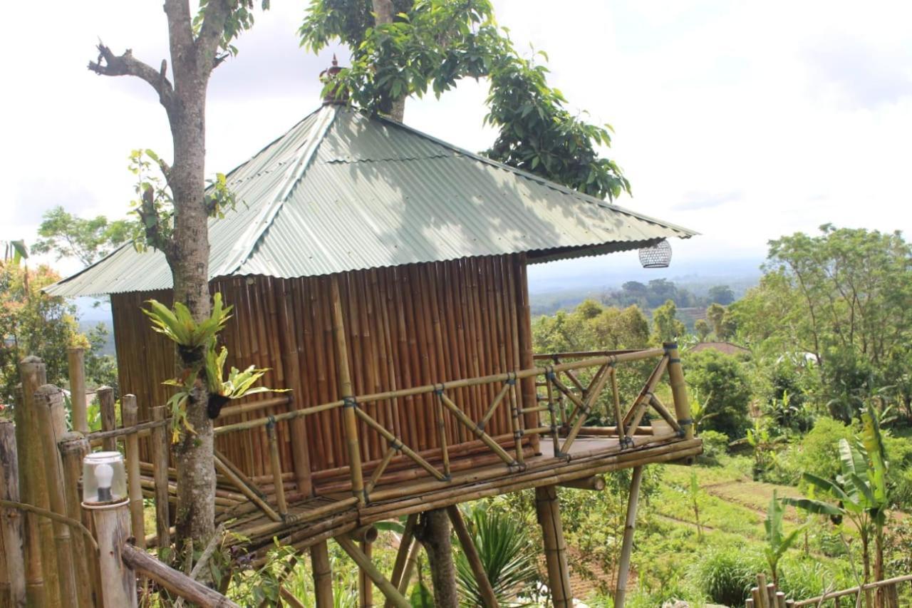 Апартаменты Bali Tree House Pelangi Бедугул Экстерьер фото