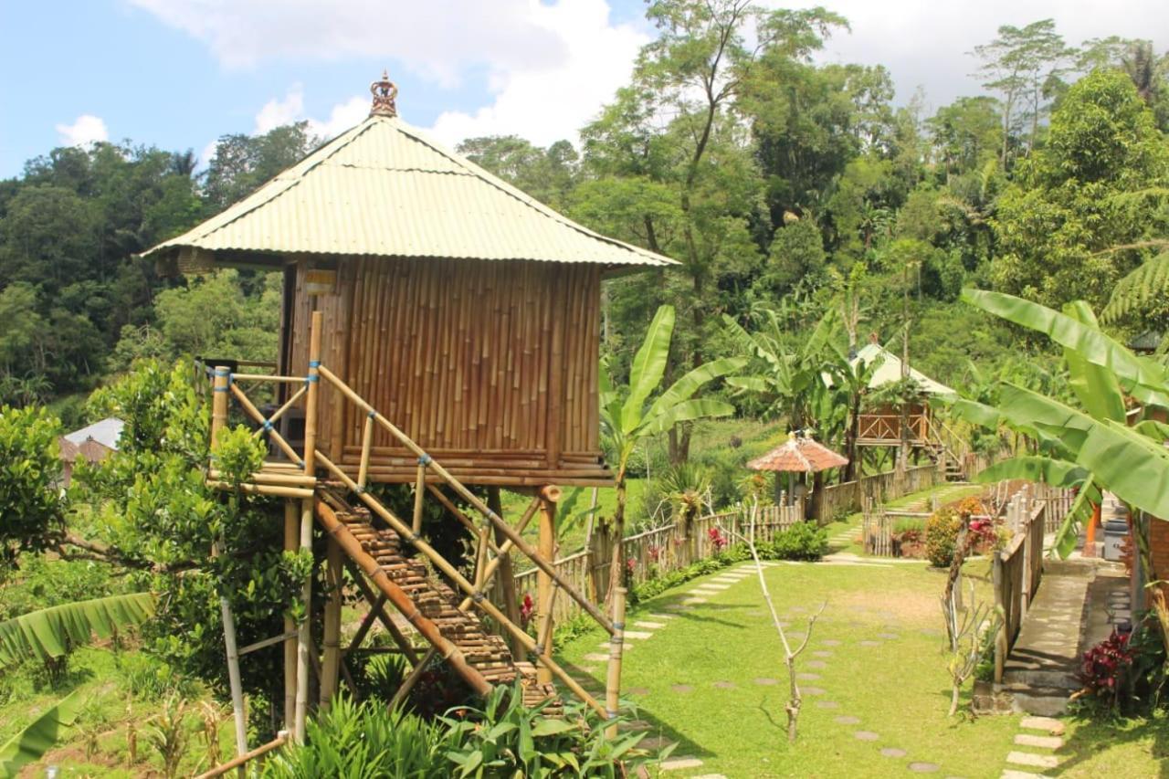 Апартаменты Bali Tree House Pelangi Бедугул Экстерьер фото
